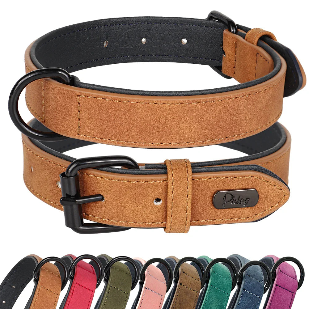 Premium Leather Dog Collar for Large Breeds-My Little Pet