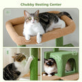 Multi-Level Cat Tree with Condo and Scratching Posts-My Little Pet