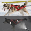 Reflective Dog Harness Vest for Sledding and Mushing Activities-My Little Pet