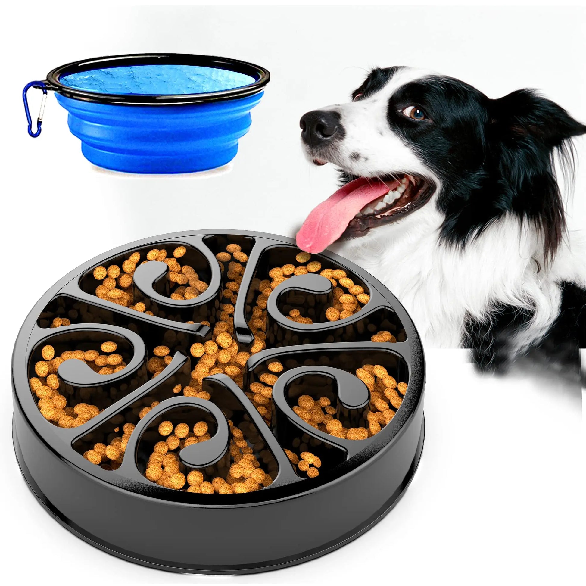 Eco-Friendly Slow Feeder Dog Bowl in Multiple Colors-My Little Pet