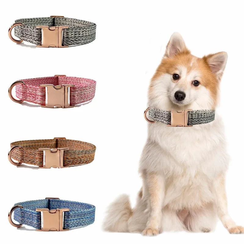 Personalized Dog Collar and Leash Set with Engraved Nameplate-My Little Pet