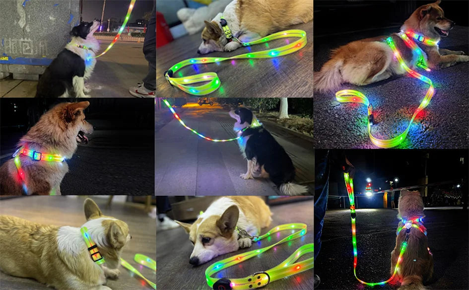 Rechargeable LED Dog Leash for Enhanced Nighttime Safety-My Little Pet