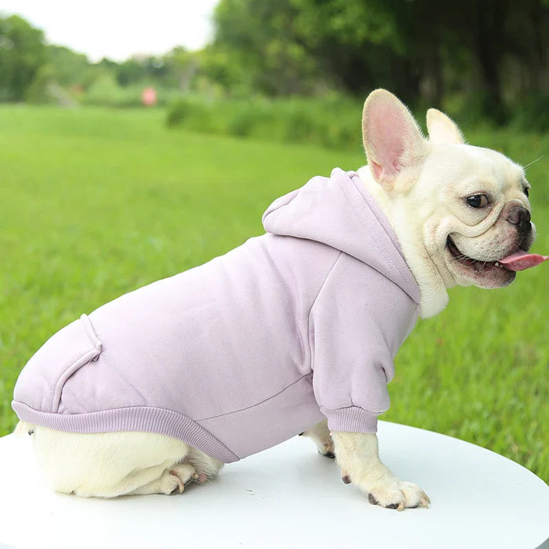 Stylish Dog Hoodie for Autumn and Winter - Warm Polyester Sweater for Small Pets-My Little Pet