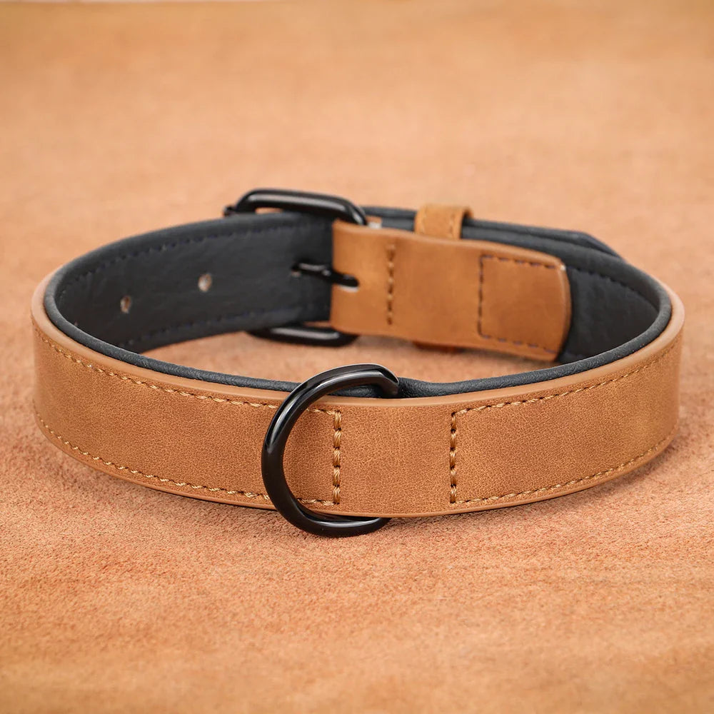 Premium Leather Dog Collar for Large Breeds-My Little Pet