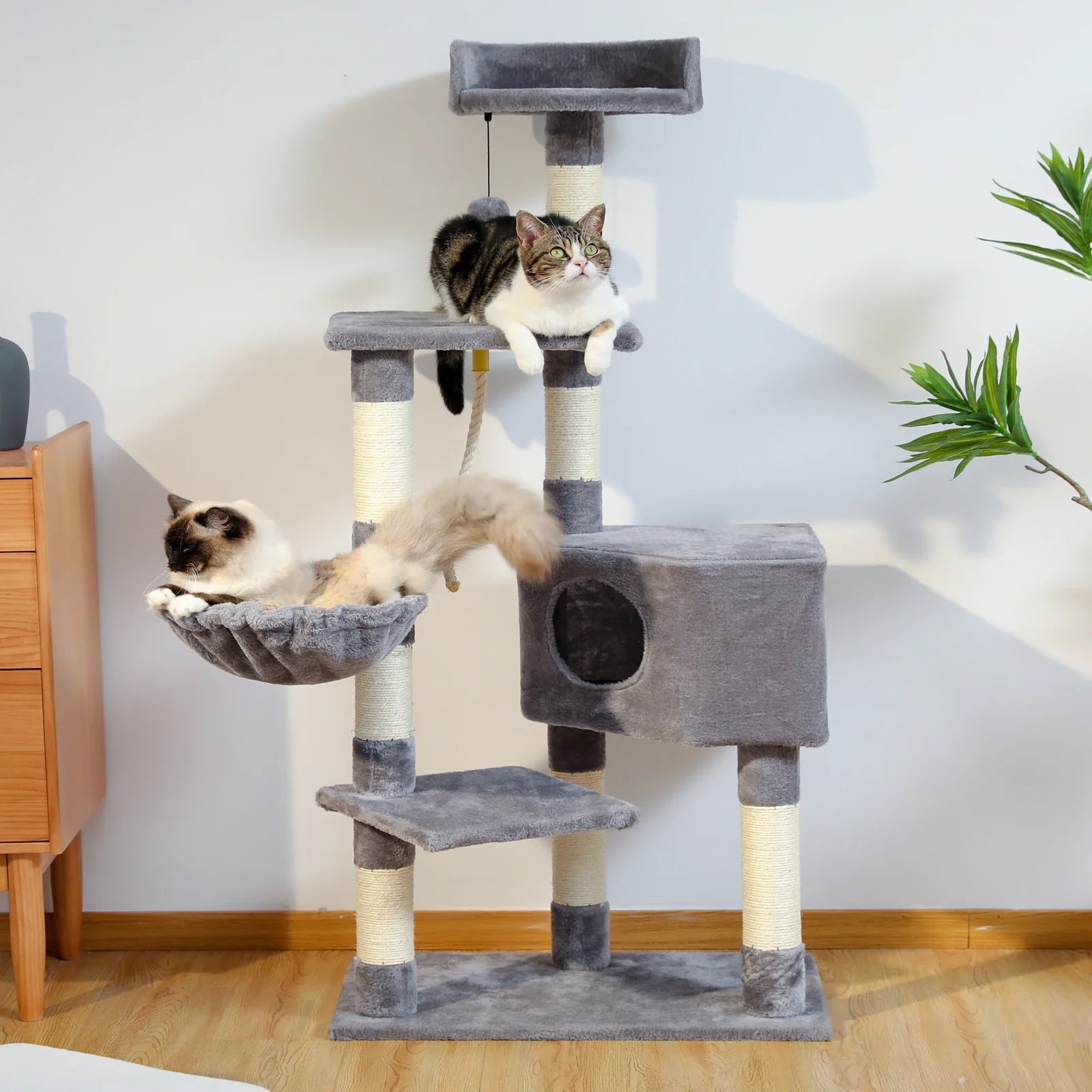 Multi-Level Cat Tree with Condo and Scratching Posts-My Little Pet