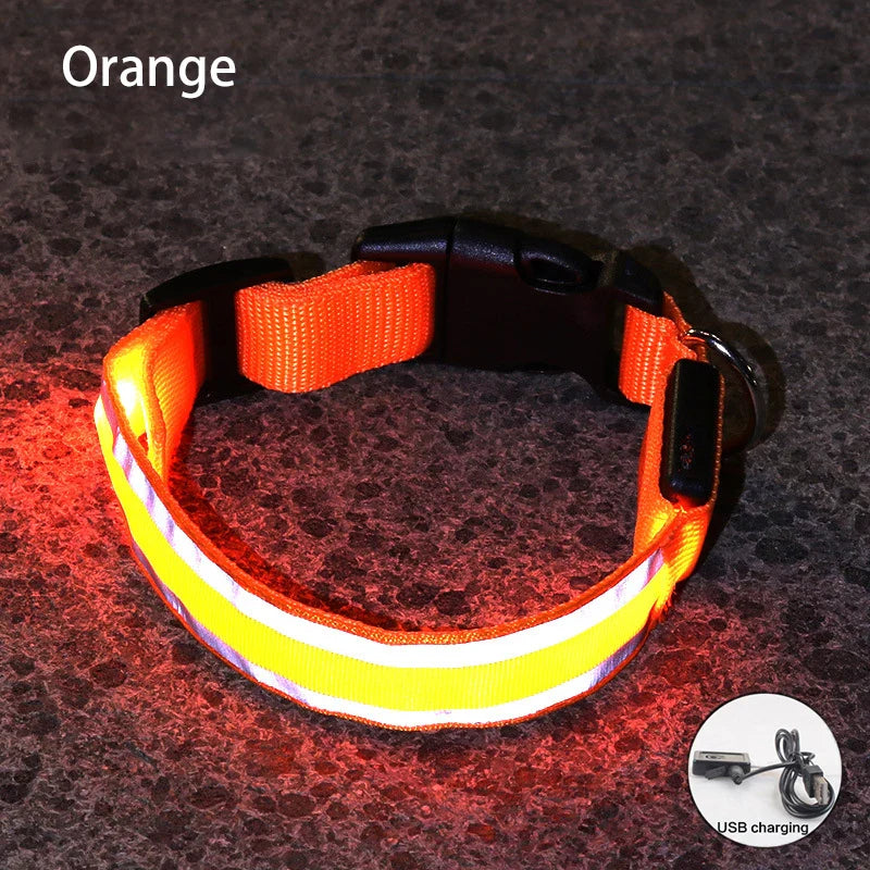 Reflective LED Dog Collar - USB Rechargeable and Button Battery Options-My Little Pet