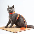 Cat Harness and Leash Set – Lightweight and Adjustable for Outdoor Adventures-My Little Pet