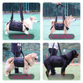 Support Harness for Dogs with Mobility Issues - Adjustable, Comfortable, and Durable-My Little Pet