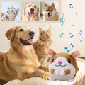 Interactive USB Rechargeable Pet Toy Ball with Sound and Movement-My Little Pet