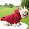 Stylish Dog Hoodie for Autumn and Winter - Warm Polyester Sweater for Small Pets-My Little Pet