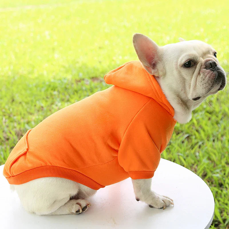 Stylish Dog Hoodie for Autumn and Winter - Warm Polyester Sweater for Small Pets-My Little Pet