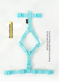 Macarone Color Pet Harness and Leash Set for Small Dogs and Cats-My Little Pet