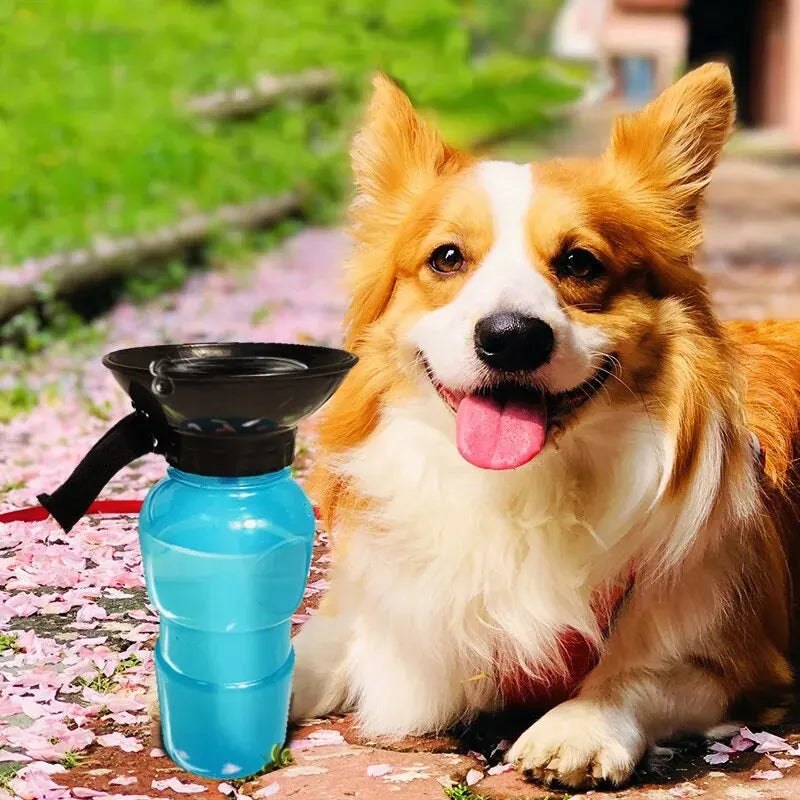 Portable Pet Water Bottle for Dogs and Cats-My Little Pet