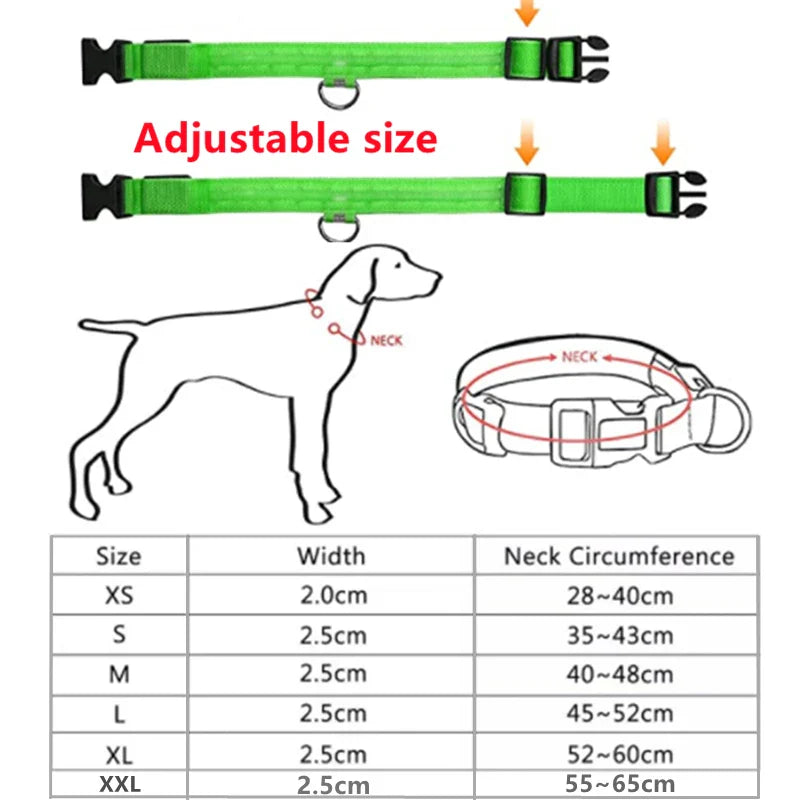 Rechargeable LED Dog Collar - Adjustable, Luminous Safety Collar for Pets-My Little Pet