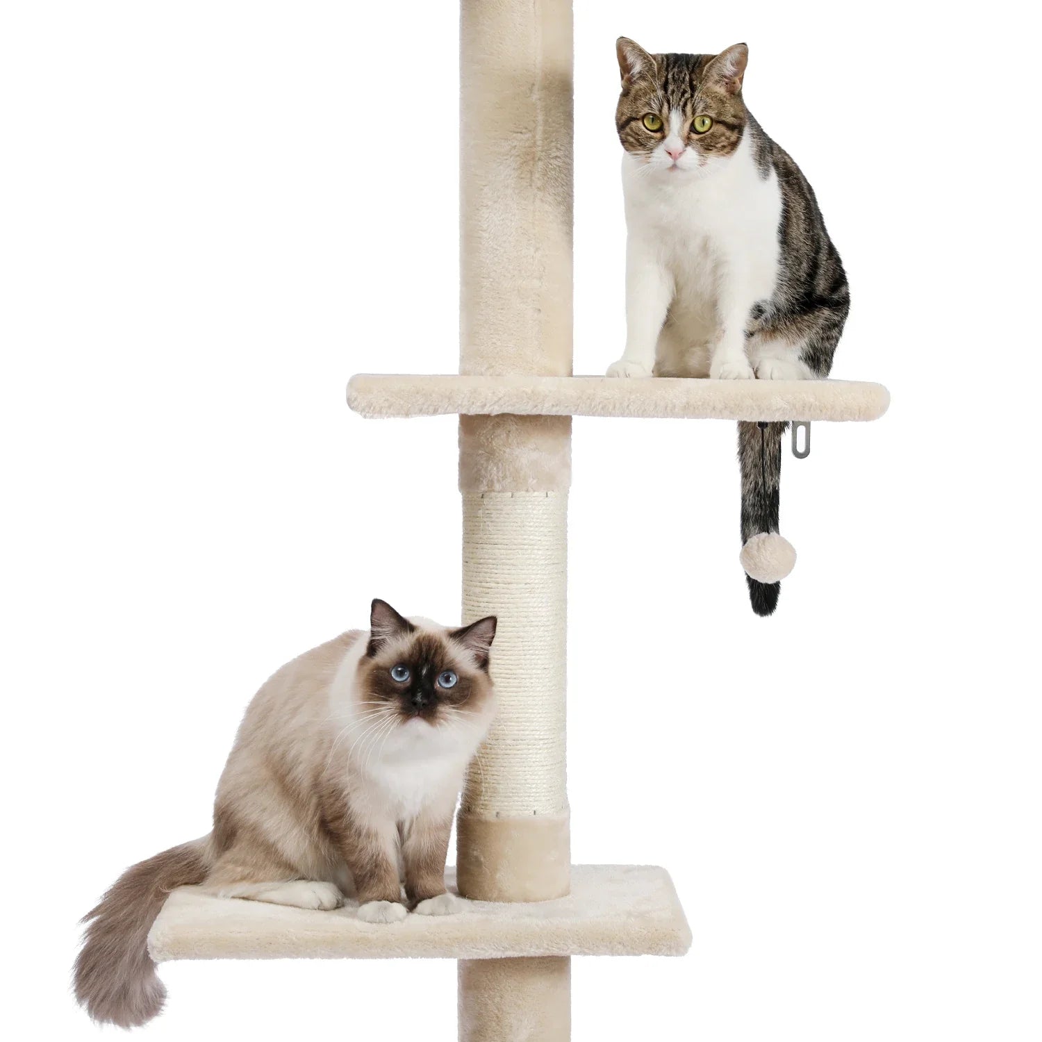 Floor-to-Ceiling Cat Tree - 228-274cm Tall Cat Climbing Tower-My Little Pet