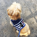 Stylish Navy-Style Dog Harness and Leash Set-My Little Pet