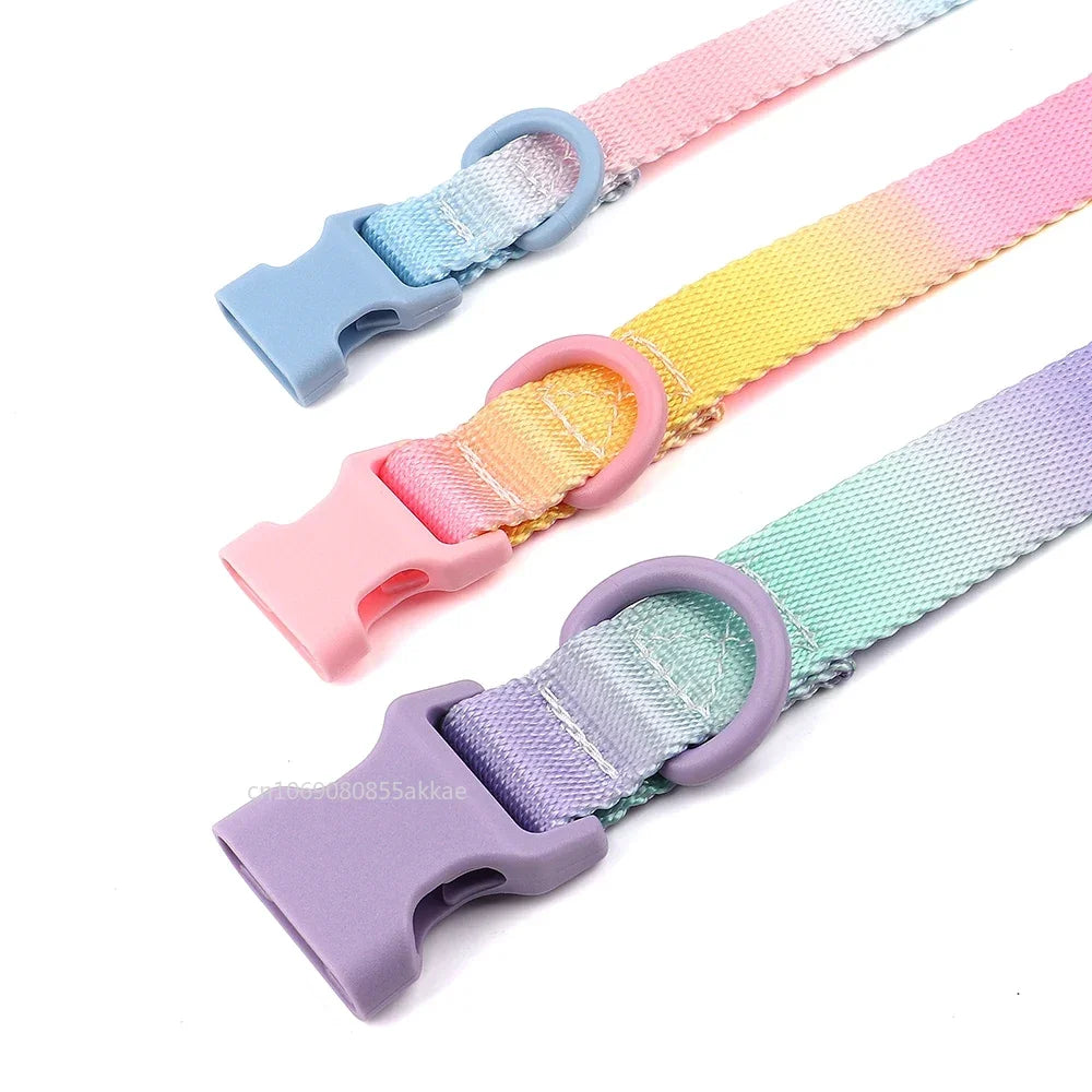 Adjustable Nylon Dog Collar with Quick Release - Available in Pink, Blue, Purple-My Little Pet