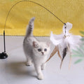 Interactive Cat Feather Toy with Suction Cup Base-My Little Pet