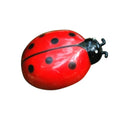 Interactive Electric Ladybird Beetle Toy for Cats-My Little Pet