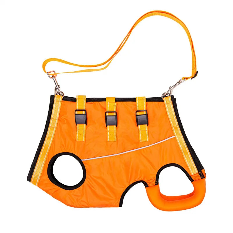 Adjustable Dog Rehabilitation Harness with Padded Straps-My Little Pet