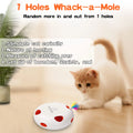 Interactive Cat Toy with Smart Feather, Automatic Standby, and Type-C Charging - Ideal for Indoor Cats-My Little Pet