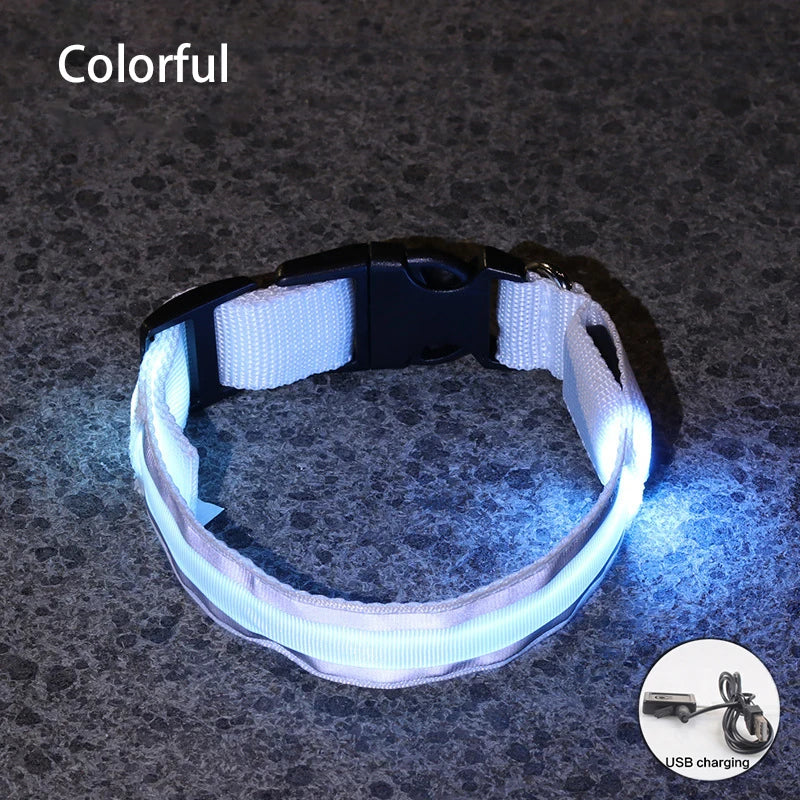 Reflective LED Dog Collar - USB Rechargeable and Button Battery Options-My Little Pet