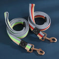 Durable Nylon Dog Leash for Training and Walking-My Little Pet