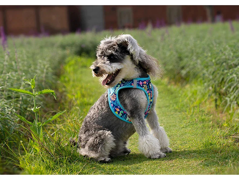 Truelove Adjustable No-Pull Dog Harness for Small and Medium Breeds-My Little Pet