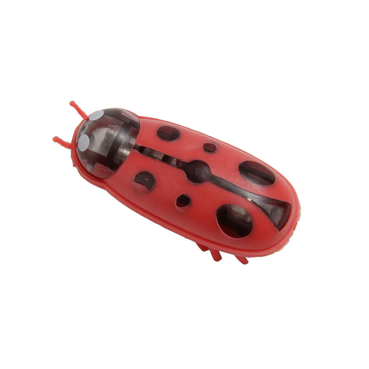 Interactive Electric Ladybird Beetle Toy for Cats-My Little Pet