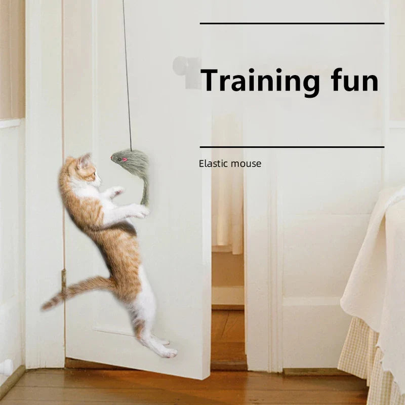 Interactive Hanging Door Cat Toy with Plush Mouse-My Little Pet