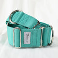 Adjustable Martingale Dog Collar for Italian Greyhounds and Whippets-My Little Pet