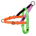 Adjustable No-Pull Dog Harness with Reflective Padding-My Little Pet