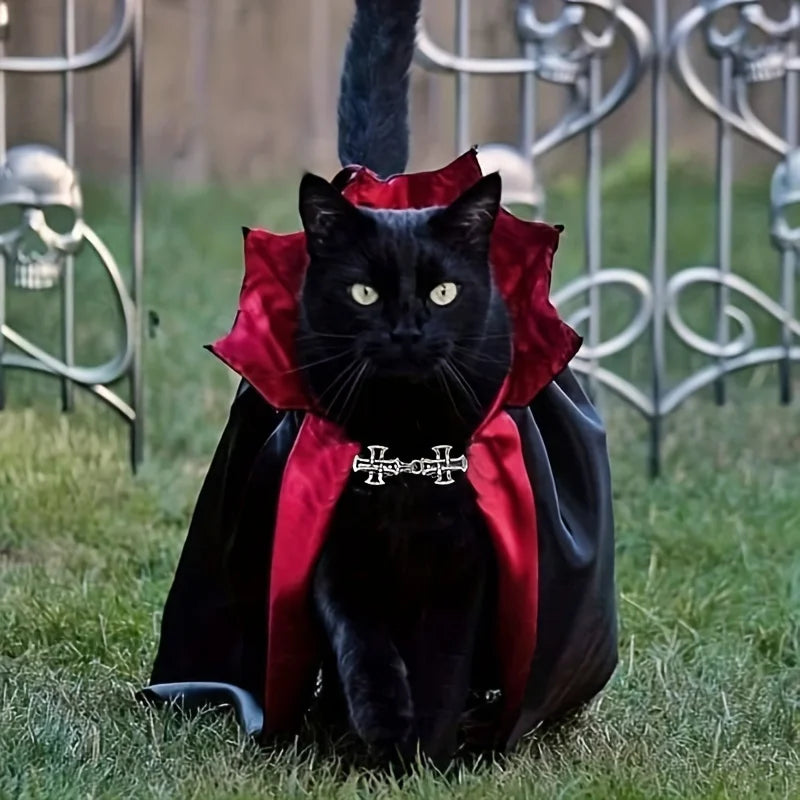 Halloween Vampire Costume Set for Cats-My Little Pet