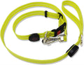 Rechargeable LED Dog Leash for Enhanced Nighttime Safety-My Little Pet