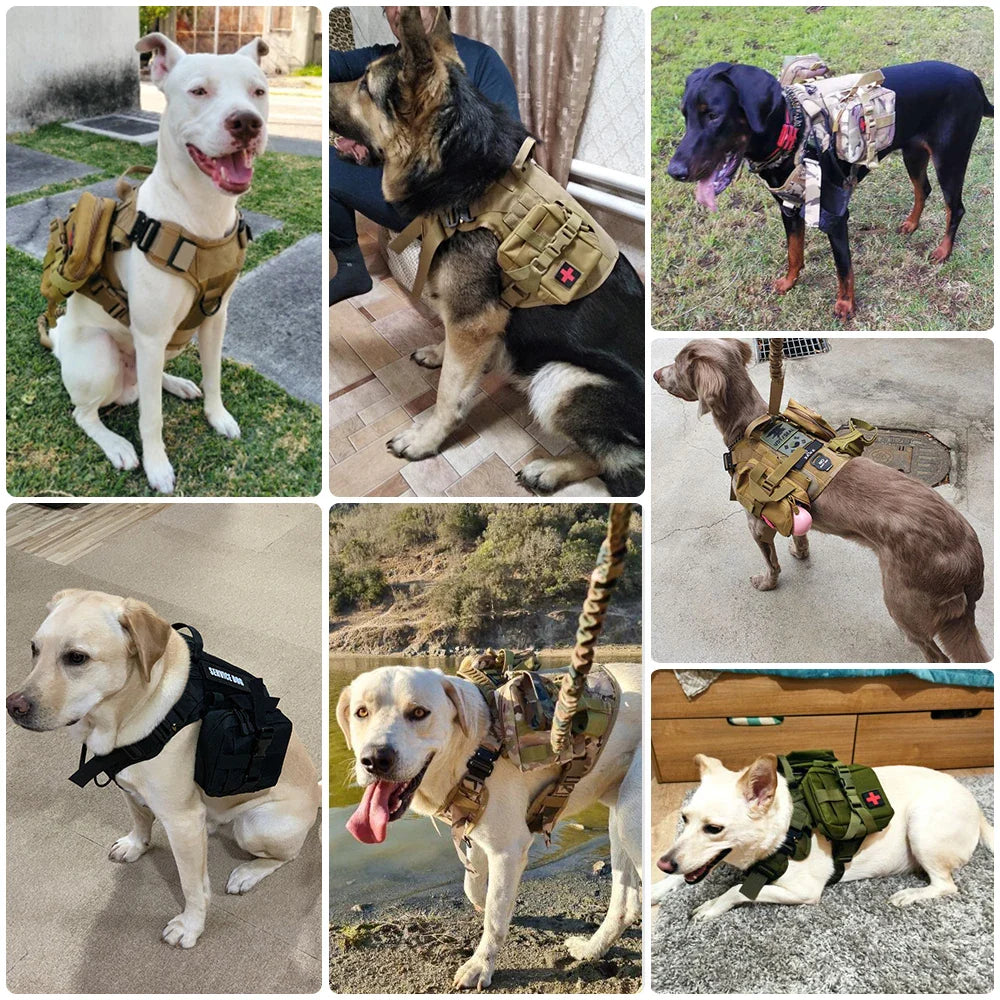 Tactical Dog Harness and Leash Set for All Dog Sizes-My Little Pet