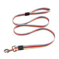 Durable Nylon Dog Leash for Training and Walking-My Little Pet