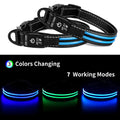 CC SIMON Rechargeable LED Dog Collar - Enhanced Night Safety with Multiple Flash Modes-My Little Pet