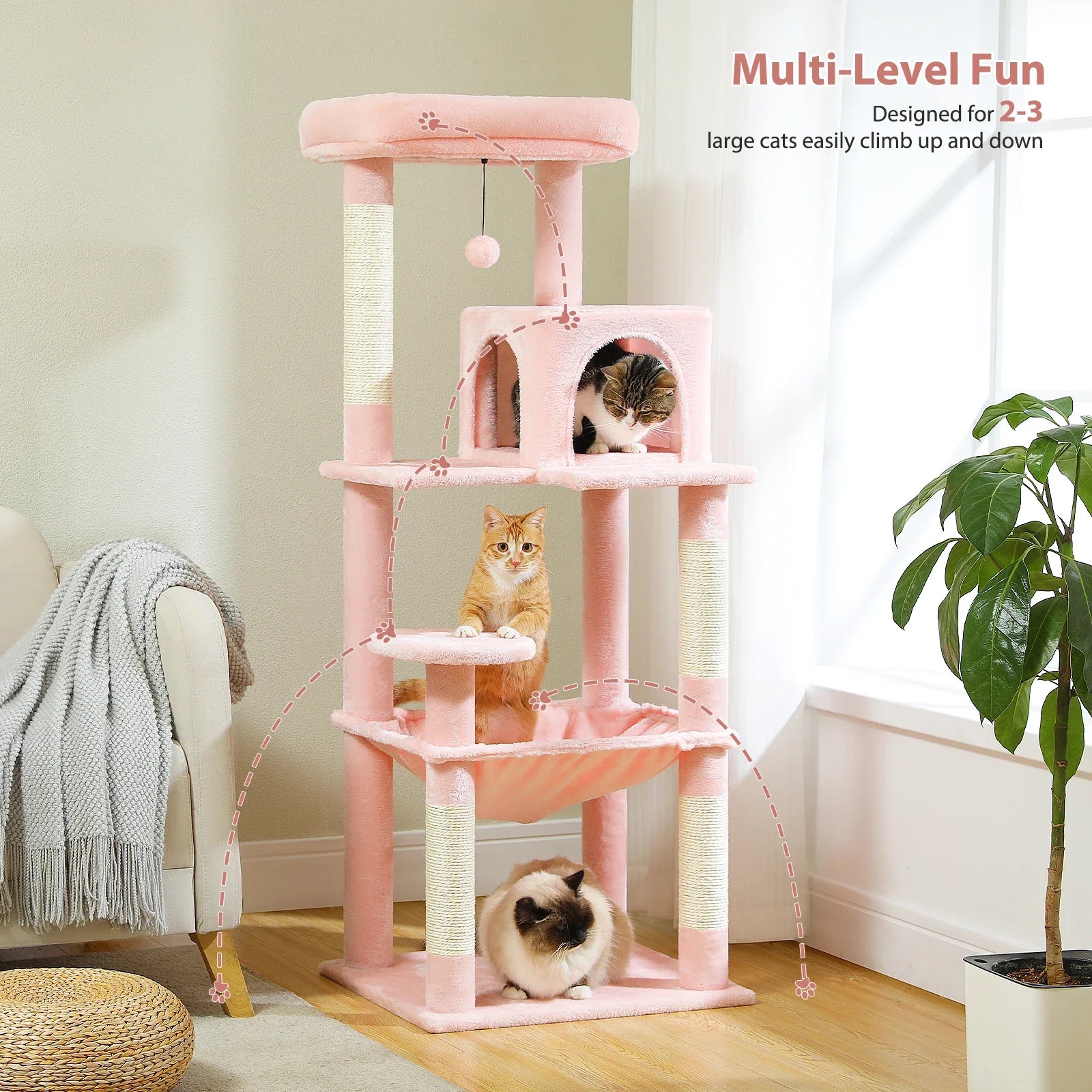 Multi-Level Cat Tree with Condo and Scratching Posts-My Little Pet