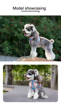 Truelove Adjustable No-Pull Dog Harness for Small and Medium Breeds-My Little Pet