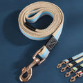 Durable Nylon Dog Leash for Training and Walking-My Little Pet