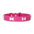 Premium Leather Dog Collar - Durable, Personalized Collars for All Dog Sizes-My Little Pet