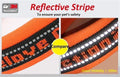 Truelove Neoprene Padded Reflective Dog Collar - TLC5371-My Little Pet