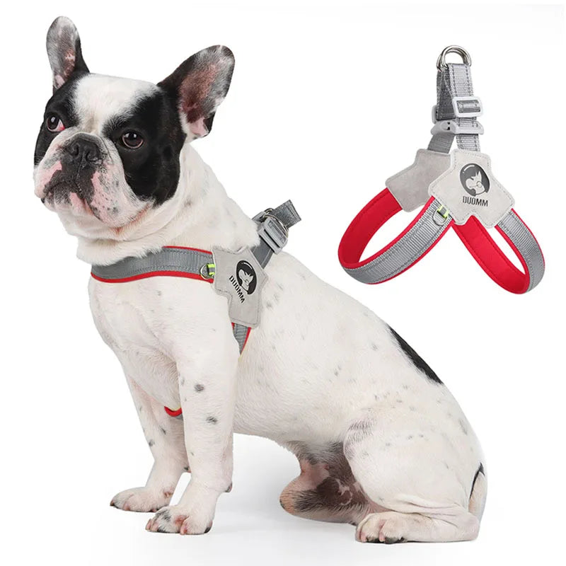 Adjustable Reflective Dog Harness for Small to Medium Dogs - Ideal for Outdoor Walking-My Little Pet