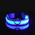 LED Nylon Dog Leash – Glowing Flashing Night Safety Leash for Dogs - My Little Pet