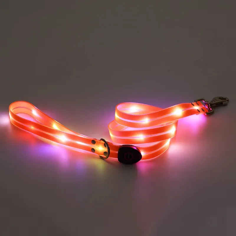 Rechargeable LED Dog Leash for Enhanced Nighttime Safety-My Little Pet