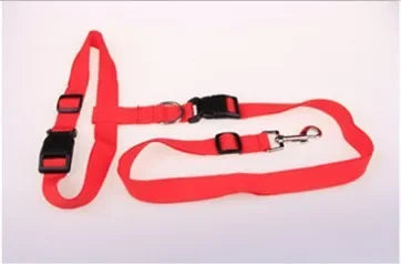 Hands-Free Adjustable Dog Leash for Active Owners-My Little Pet