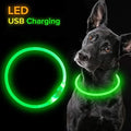 Rechargeable LED Dog Collar - High Visibility & Adjustable-My Little Pet