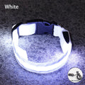 Reflective LED Dog Collar - USB Rechargeable and Button Battery Options-My Little Pet