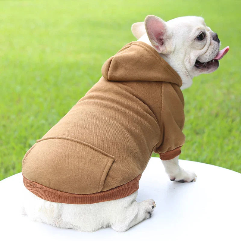 Stylish Dog Hoodie for Autumn and Winter - Warm Polyester Sweater for Small Pets-My Little Pet