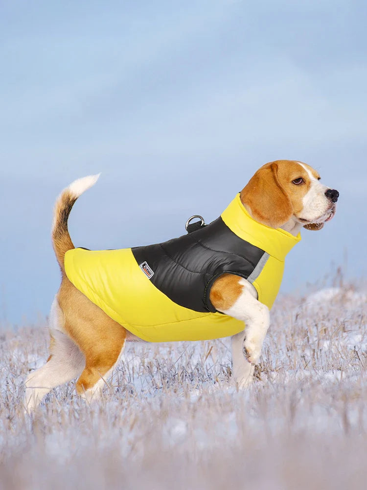 Waterproof Winter Dog Coat for All Sizes-My Little Pet